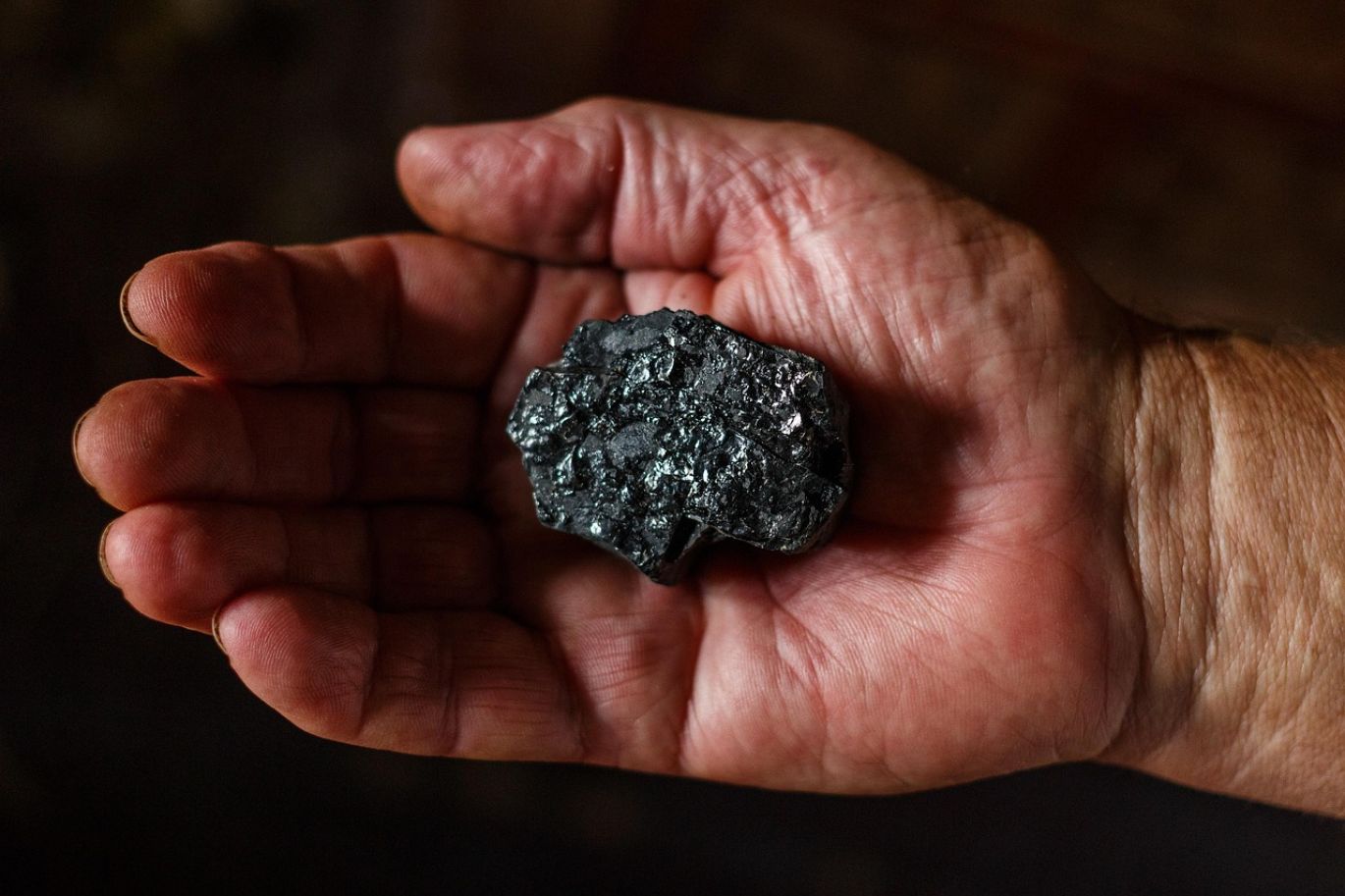 Illustration showing Adani Coal Mine Shares with global market trend charts