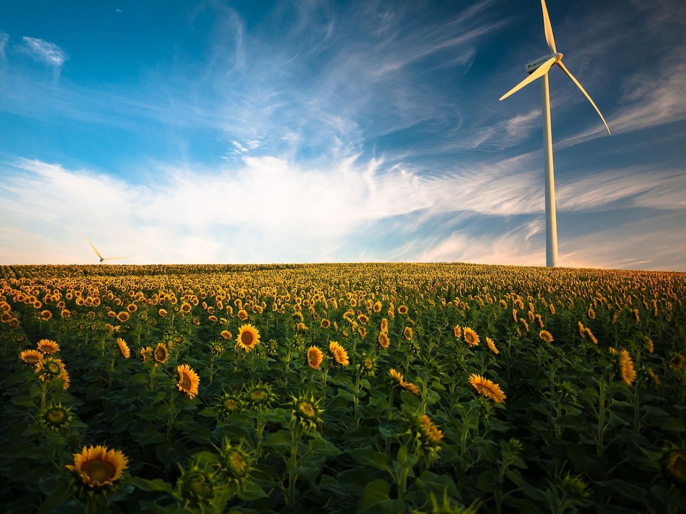 Minerals for Antofagasta Mining Energy Renewable applications being ethically sourced in Kenya