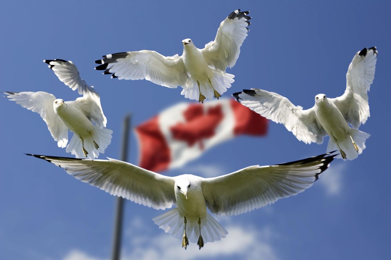 Illustration of the Best Canadian Mining Etf with global mining icons and Canadian flag.