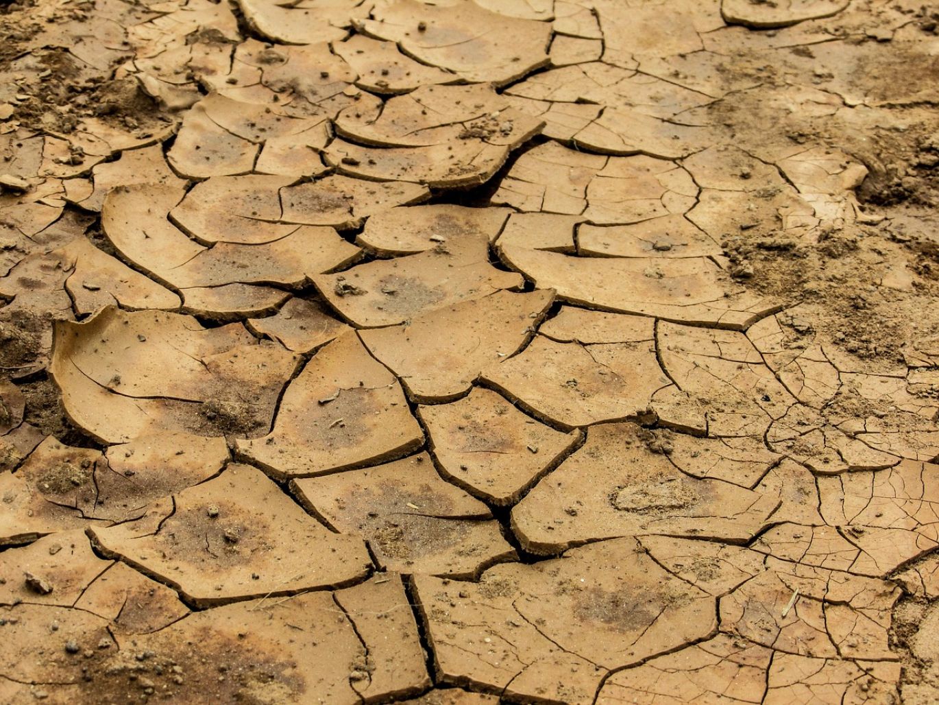 Bleaching Earth Clay used in industrial purification processes for oils and liquids