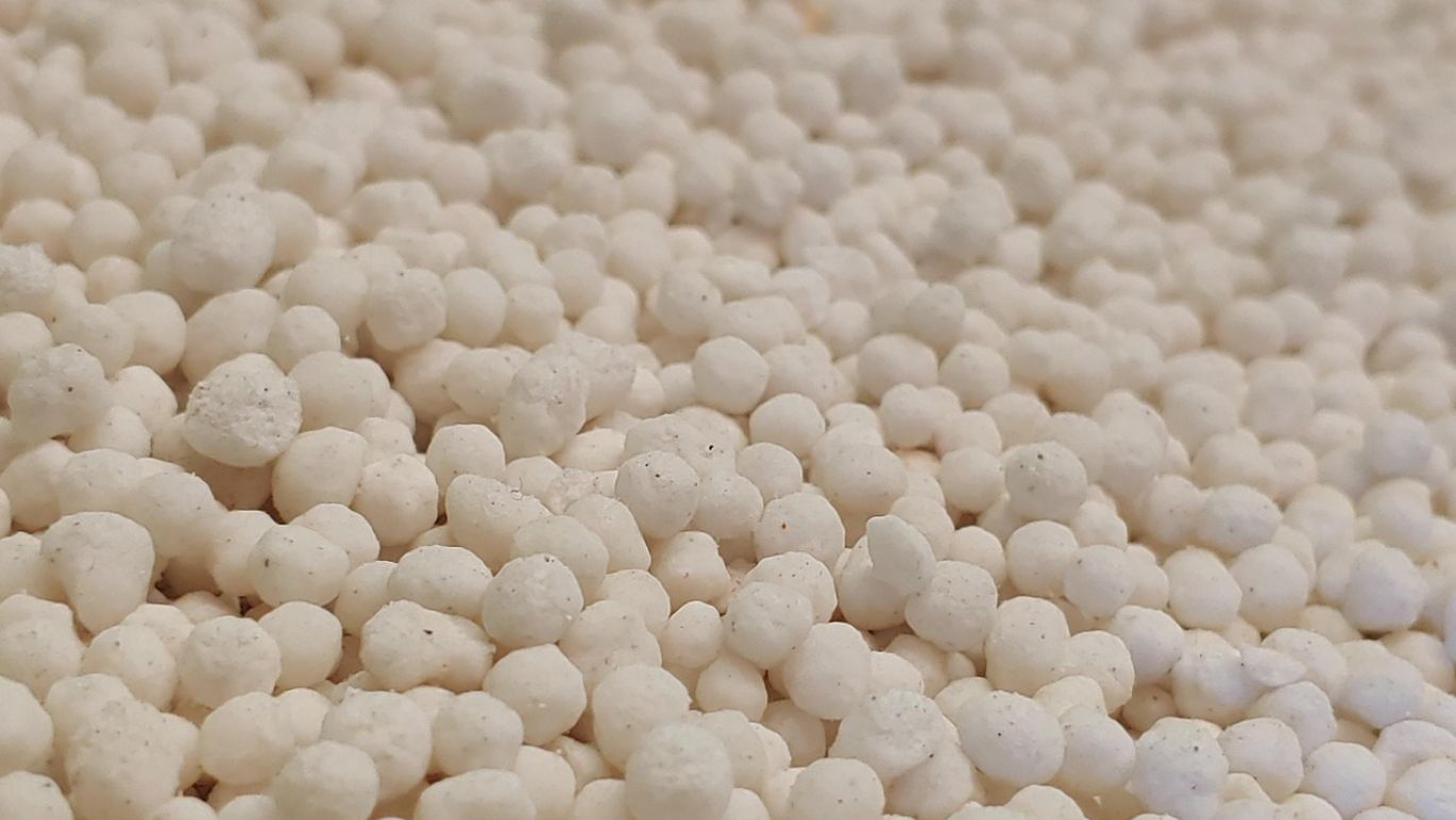Farmer applying Calcium Phosphate Fertilizer to soil for enhanced crop growth