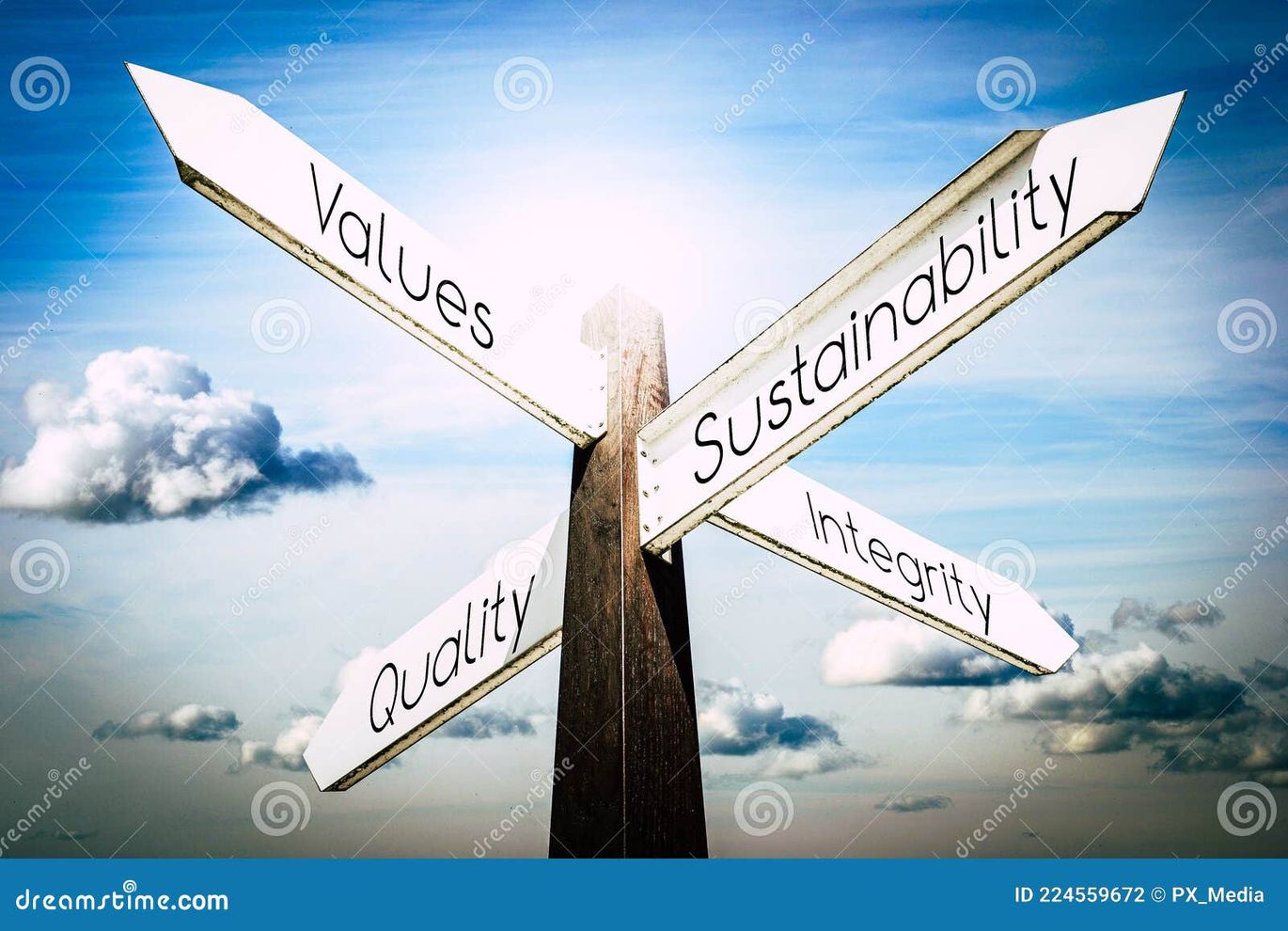 corporate values integrity sustainability