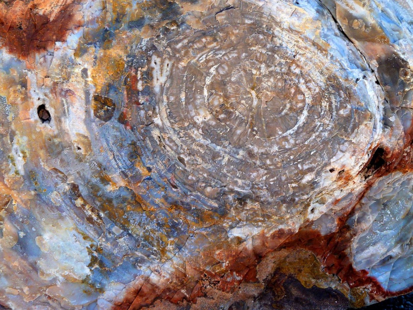 Close-up of vibrant fire opals for wholesale purchase