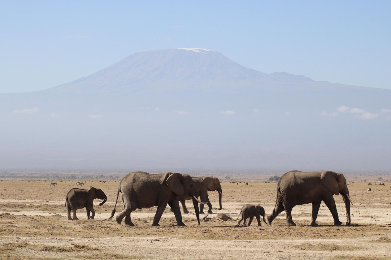 Jm Bullion Official Site showcasing Kenya's mineral resources