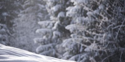 Bag of high-quality Manganese Dioxide Powder ready for industrial use