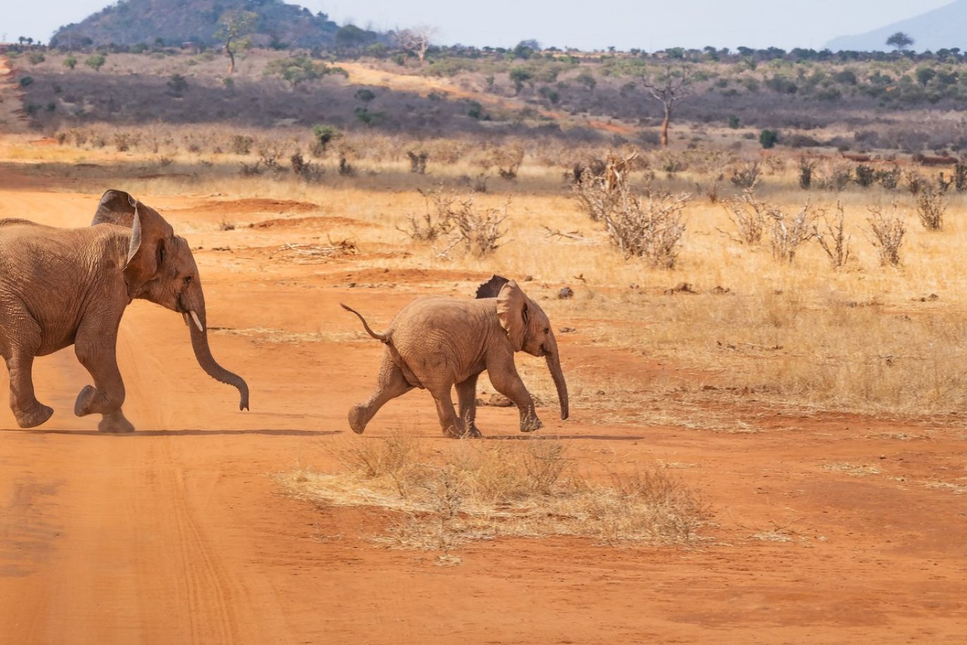 Mining Firm in Kenya: Maiyam Group connecting Africa's strategic minerals to global markets with ethical sourcing and