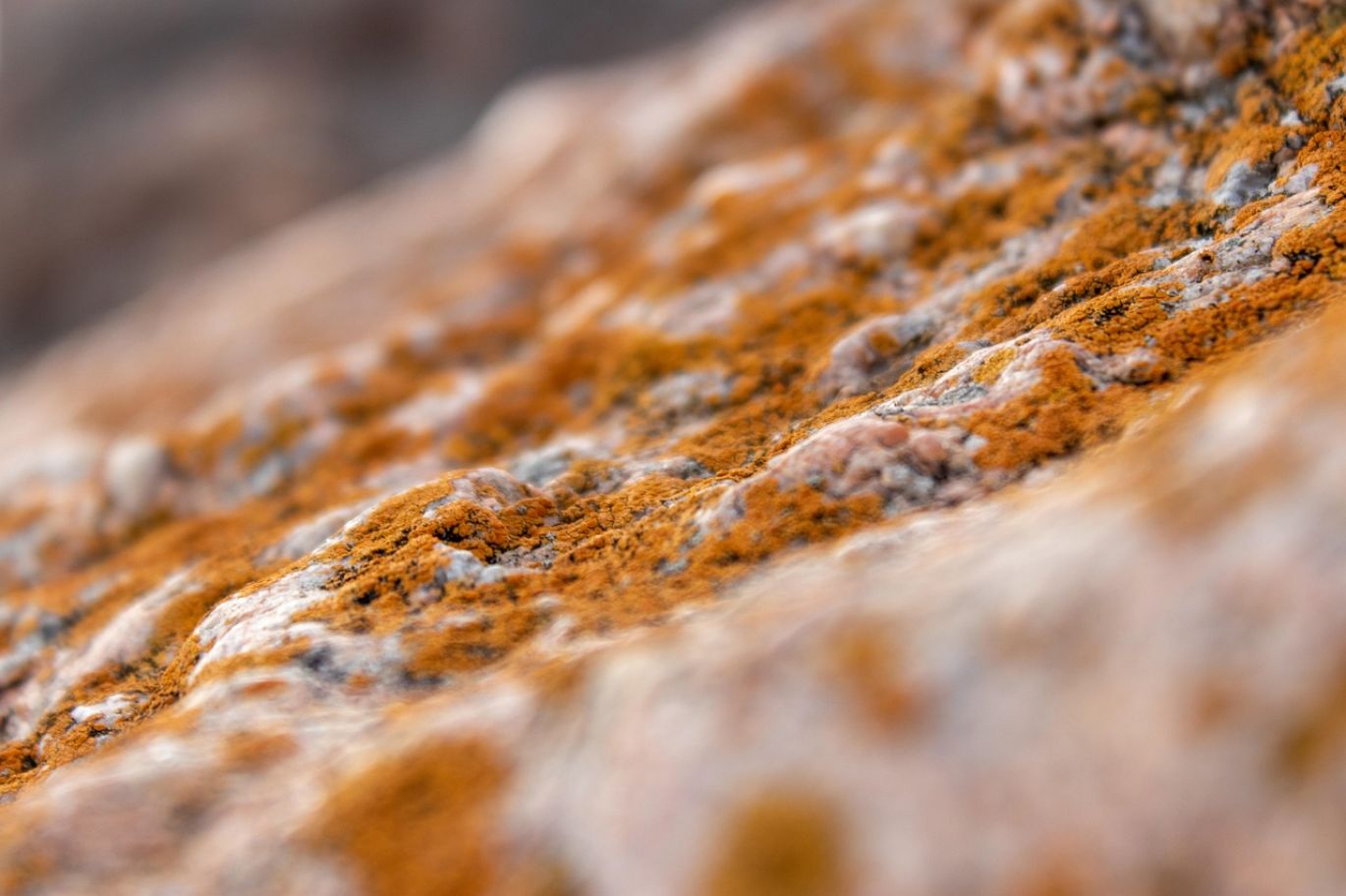 Close-up of muriatic acid being applied to a rock surface for cleaning and etching