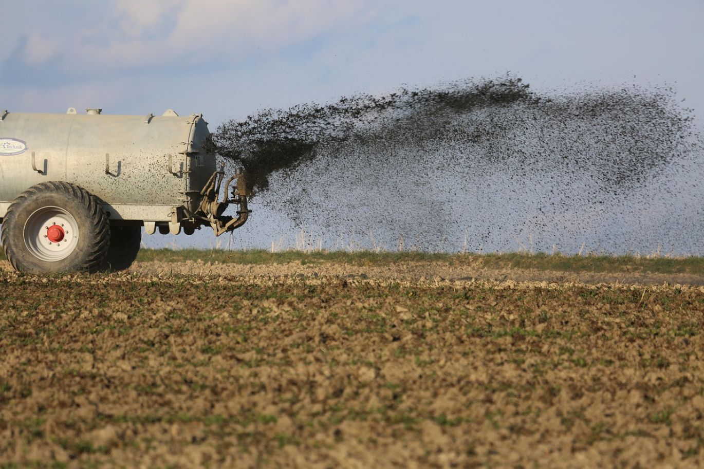 Organic Rock Phosphate Fertilizer spread on fertile soil