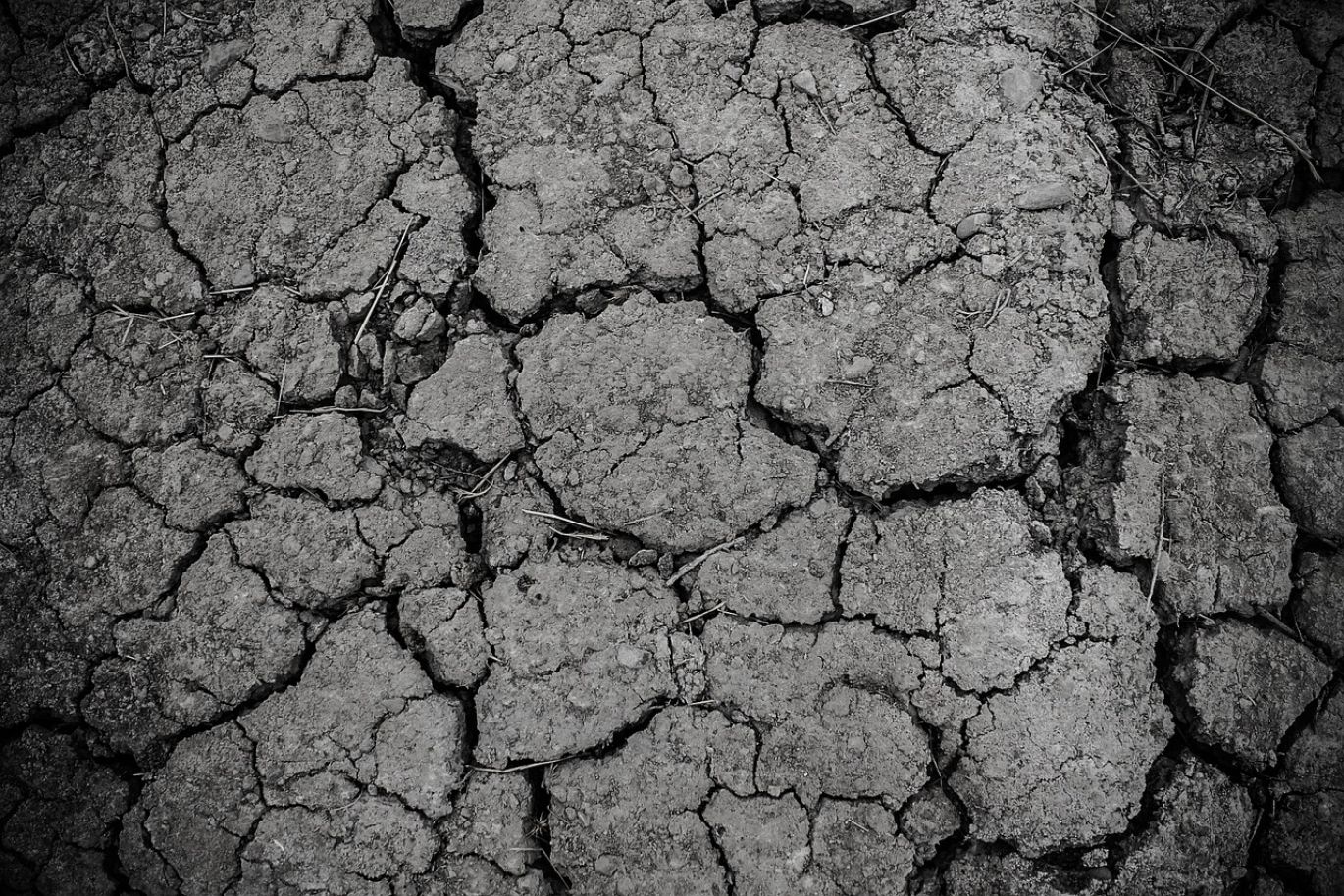 Close-up view of Palygorskite Clay For Sale, showcasing its fine texture for industrial use.