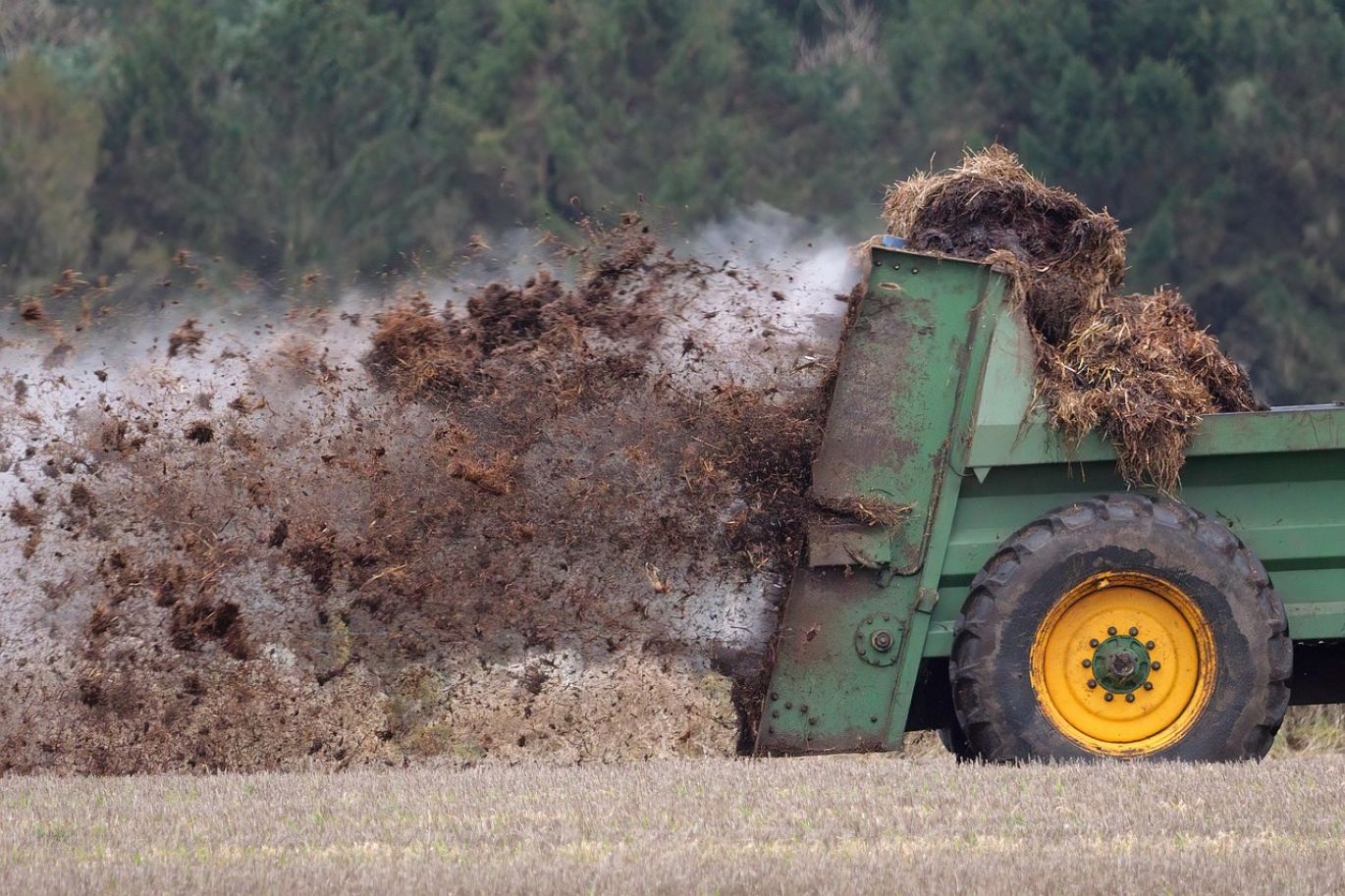 Phosphate rock minerals stacked, used in fertilizer production, sourced from Kenya by Maiyam Group