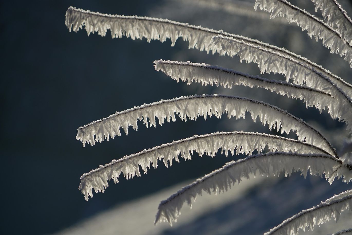 White crystals of Phosphorus Acid Crystal in industrial setting