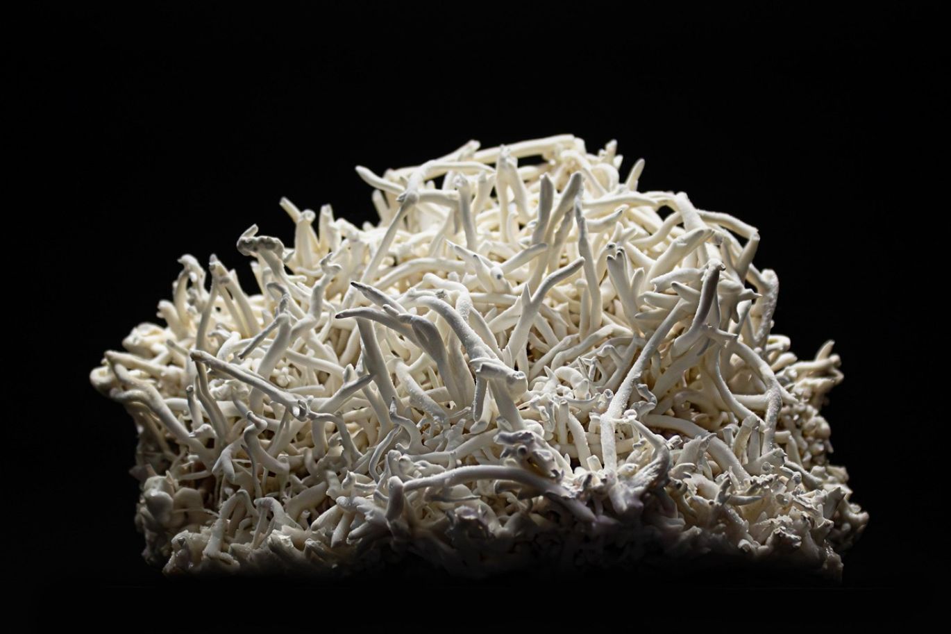 Pile of Rock Phosphate P2o5 mineral, a crucial component for fertilizers and industrial applications.