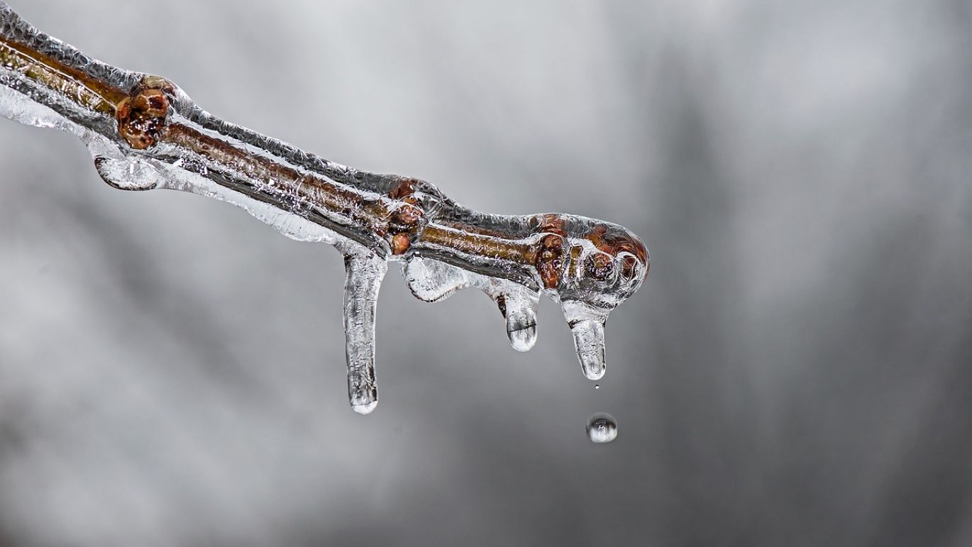 Close-up of molten silver during the melting process, representing the Silver Melt Price.