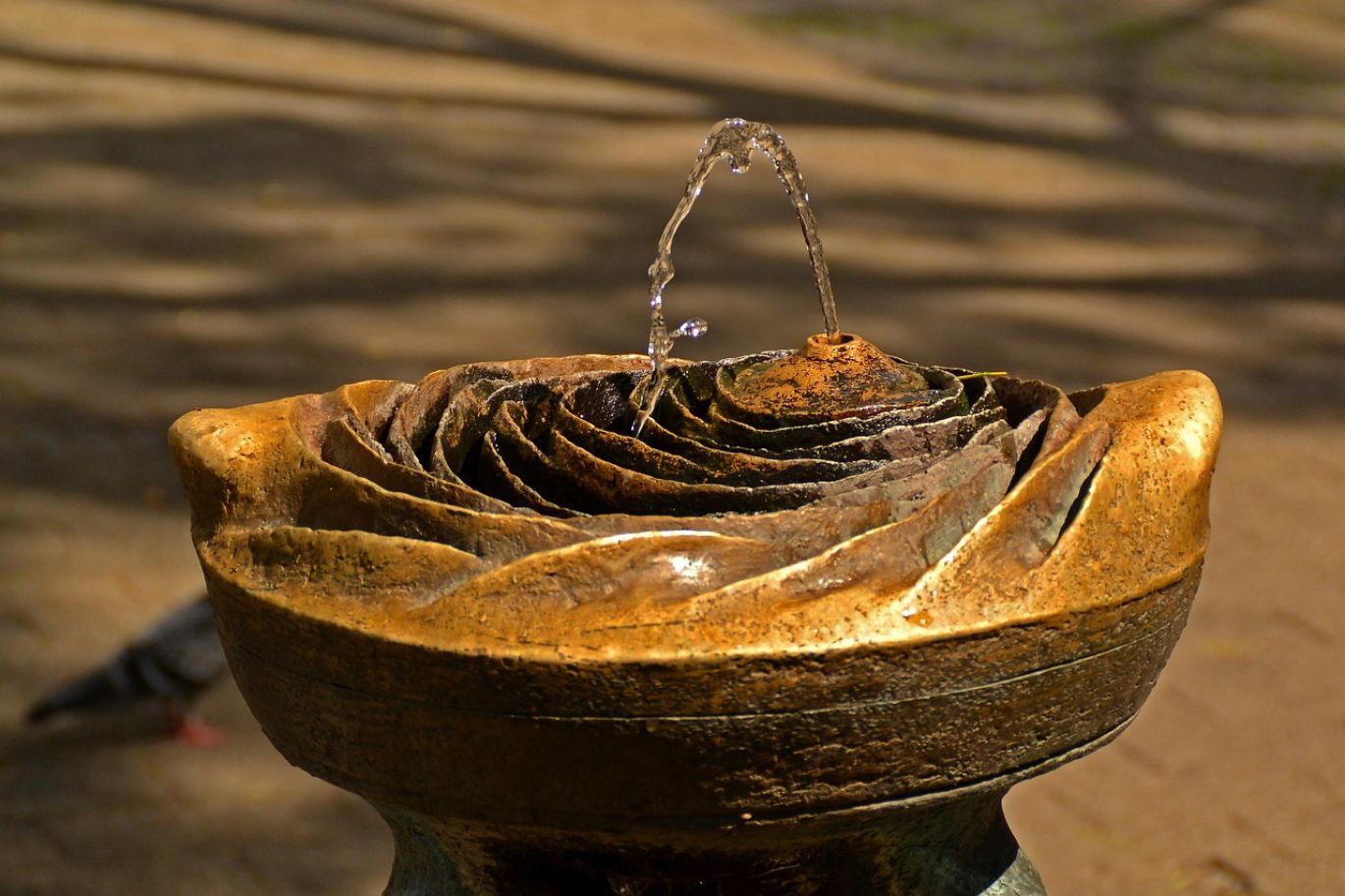 Person adding Sodium Hydrogen Carbonate to a swimming pool to balance water chemistry.