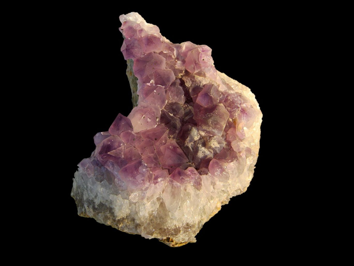 A collection of ethically sourced Tanzanite gemstones available for wholesale, showcasing their distinctive blue-violet hues.