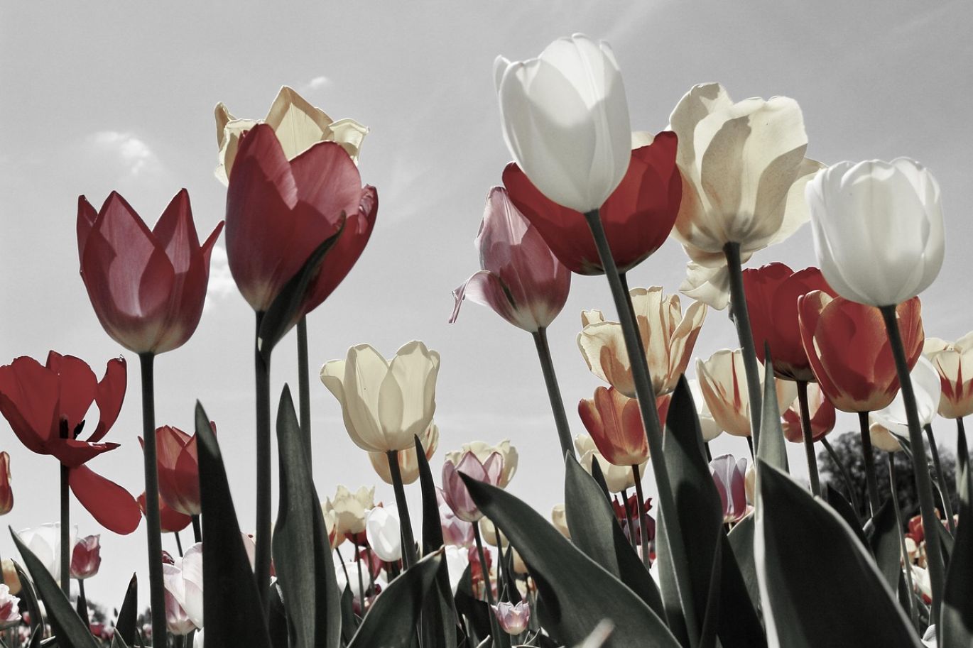 Close-up of colorful patterns created with the Tulip Artisan Soda Ash Tie Dye Kit on fabric