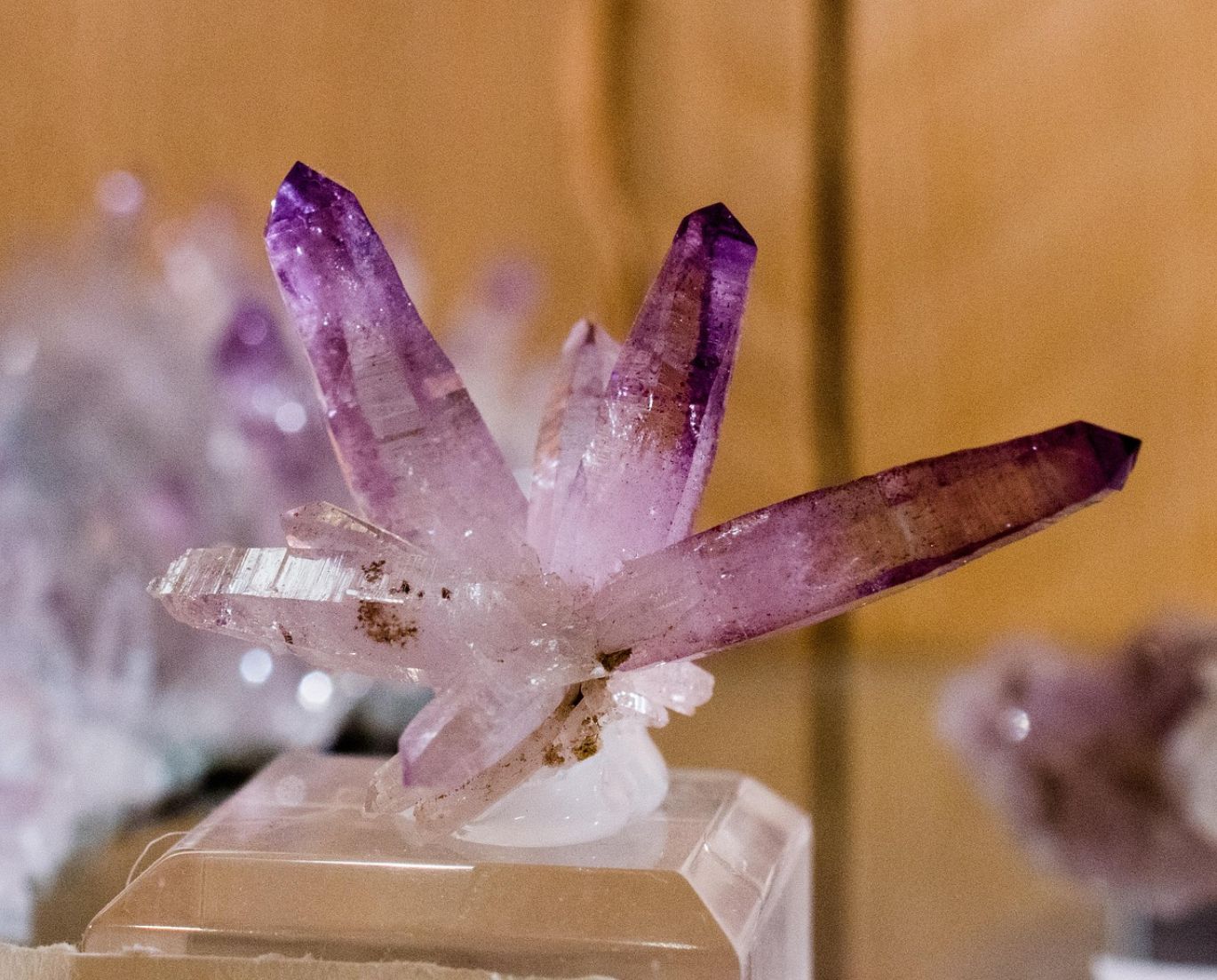 Close-up of polished wholesale amethyst gemstones with vibrant purple hues