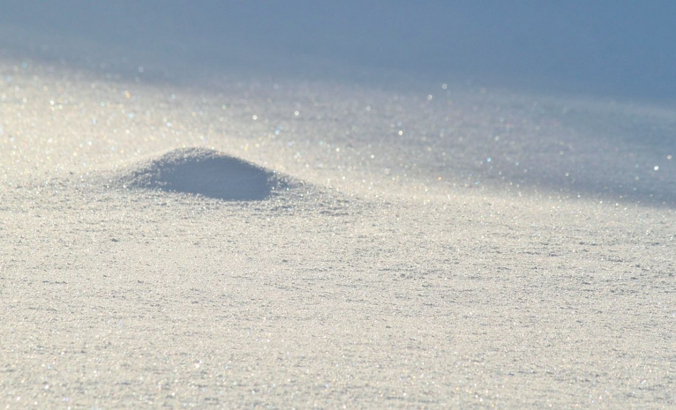 Bag of white zinc oxide powder, representing Zinc Oxide White Seal Price